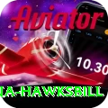 antigua hawksbill Pro v2.1.4