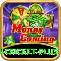 australian cricket Casino Extreme v5.1.1