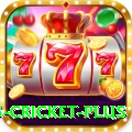 bet365 cricket Plus Pakistan