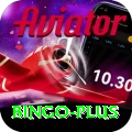 bingo Master v1.3.3