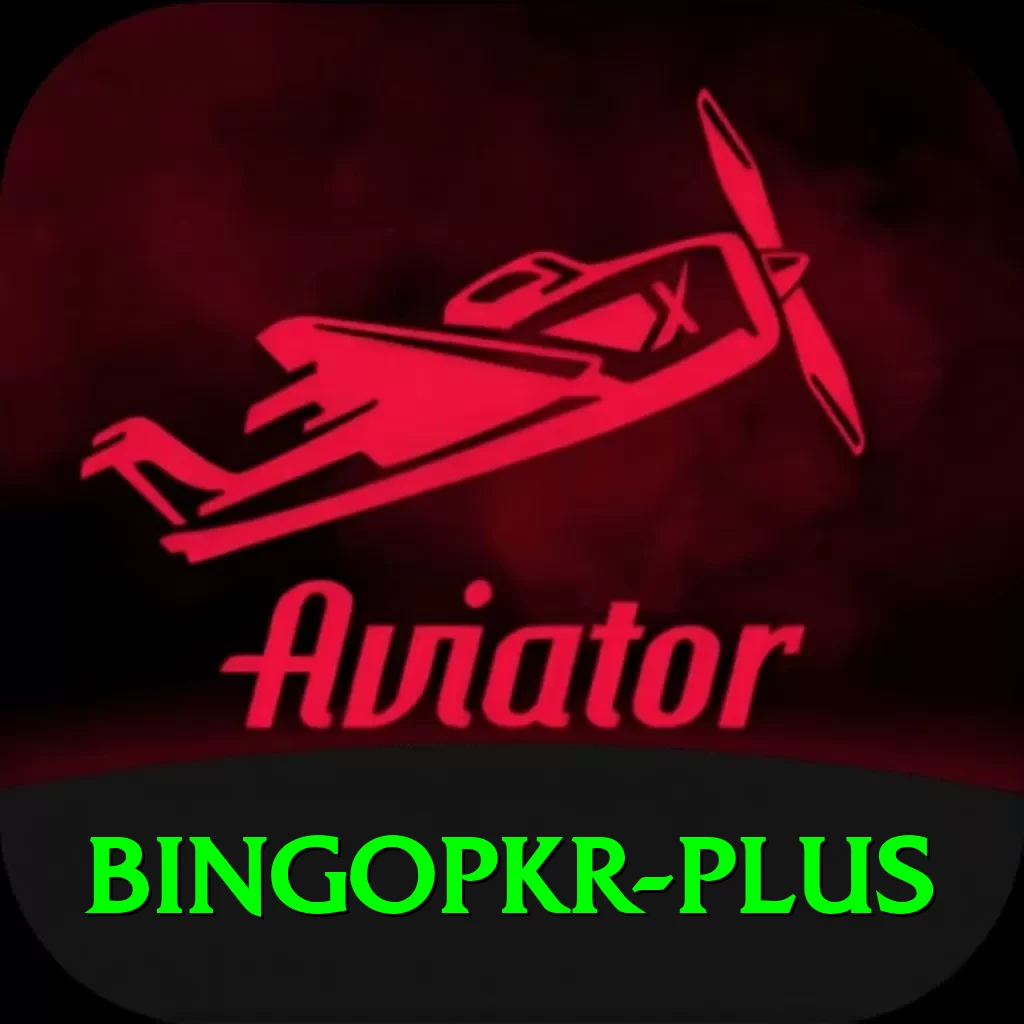 bingopkr Pro1 v1.3.9 - 2