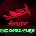 bingopkr Pro1 v1.3.9