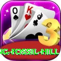 chhusang fossil hill VIP v4.5.0