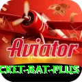 cricket bat Deluxe - Free Download
