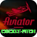 cricket pitch Elite v4.9.1