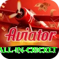 fastest ball in cricket Pro Edition v2.3.6