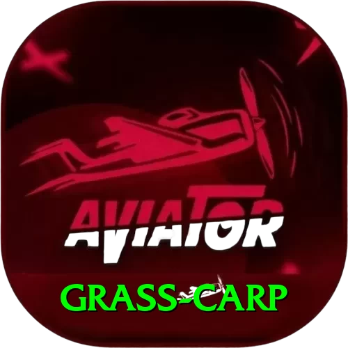 grass carp Apps (Tools & Injectors) Premium v5.9.7 - 2