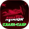 grass carp Apps (Tools & Injectors) Premium v5.9.7