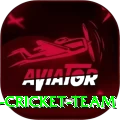 hong kong cricket team Elite v1.0.5