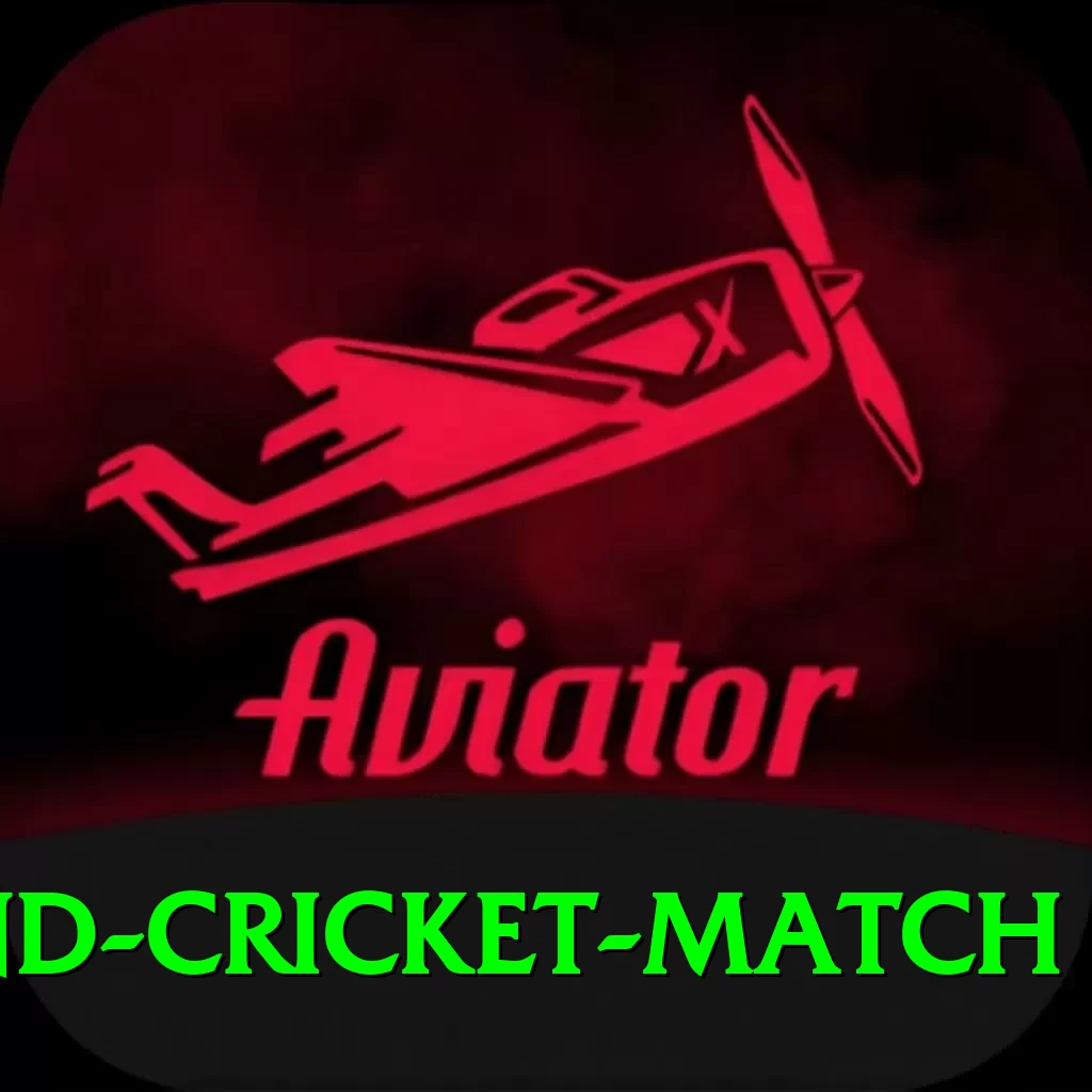 india newzealand cricket match Deluxe Edition v1.3.7 - 2