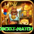 india pakistan cricket match Premium Plus v1.7.8