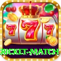 international cricket match Turbo Pro v5.9.1