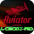 international cricket Ultimate PK v4.5.3