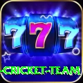 ireland cricket team Max v5.8.2