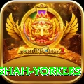 naseem shah yorkers Deluxe Pro v1.2.8