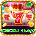 netherlands cricket team Master v3.7.2