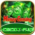 online cricket Games Premium