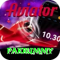 pakrummy Premium v2.0.3