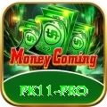 pk11 Casino Elite v3.5.2