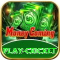 play cricket Ultimate v1.1.2
