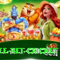 risk free bet cricket Apps (Tools & Injectors) Ultimate v5.4.5