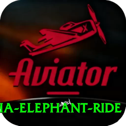 sauraha elephant ride VIP v3.7.9 - 2
