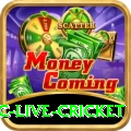 smartcric live cricket Games (Casino & Earning) Master v5.6.1