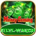 steve waugh Pro Max v2.5.3