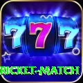 to day cricket match Plus Edition v2.1.0