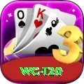 wc t20 Turbo Pro v3.6.1