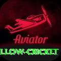 willow cricket Premium Plus v5.2.4