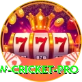 willow cricket - VIP Max