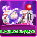 Winli Slots Max 2024